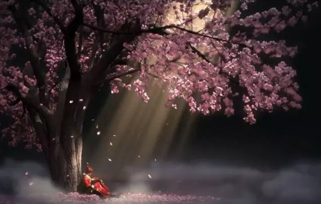 QQ截图20170505153005.png